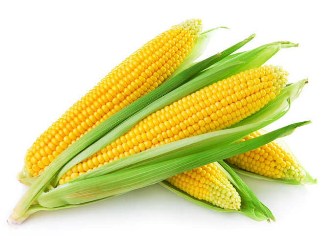 xĹ푪÷ʽ