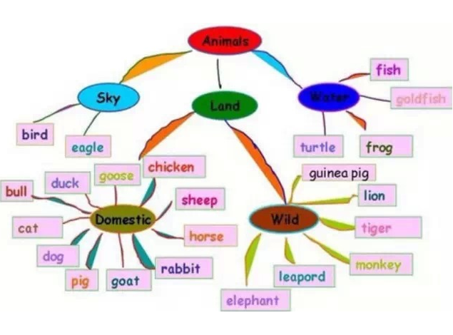 ӢZ(y)~ŘW(xu)(yng)ü