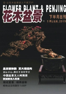 ľ辰辰pʯ