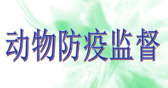 ӄlOͷߙz߹Ć}̽ӑ