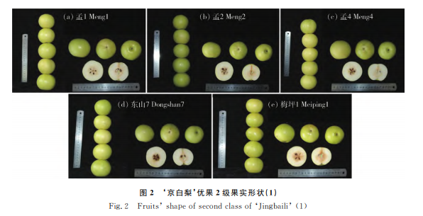 桯(yu)|(zh)(sh)u(png)r(ji)ָ(bio)