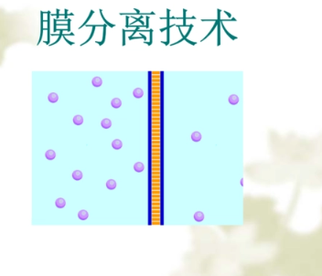 膜分離方向sci期刊