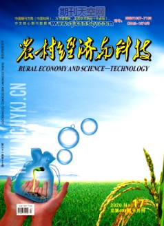 rI팦r彛lչо