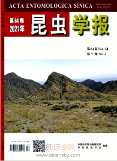 xW(xu)(bo)