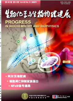 siRNA {fϵy(tng)оMչ